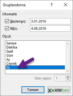 Yıla Göre Gruplandır