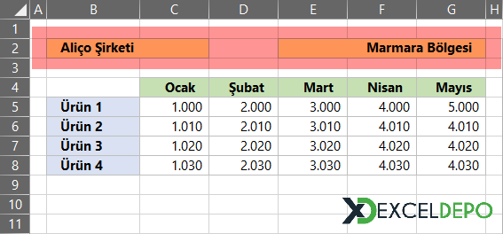 Şirket ve Ürün Bilgileri