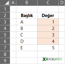 Korumalı Hücreleri Renklendirme