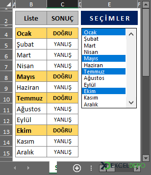 Birden Fazla Seçim Yapılabilen Liste Kutusu