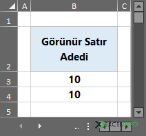Görünür Satır Adeti