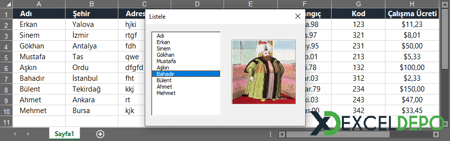 UserForm Üzerinde Resim Gösterme Örneği UserForm Üzerinde Resim Gösterme Örneği