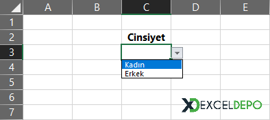 Bir Hücrede Sadece İstenilen İsimlerin Yazılması Bir Hücrede Sadece İstenilen İsimlerin Yazılması