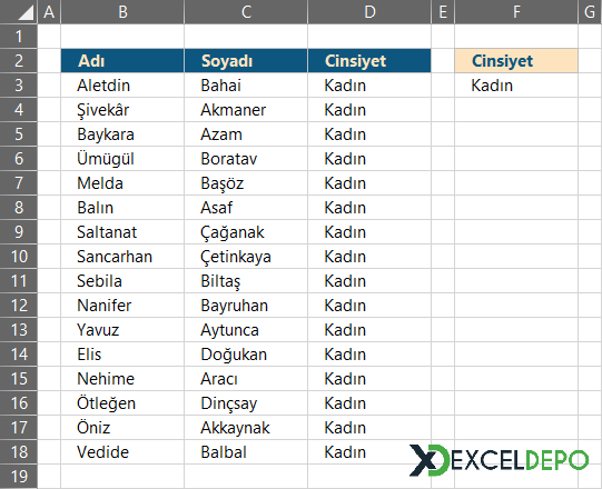 Seçilen Cinsiyete Göre Çalışanların Listelenmesi Seçilen Cinsiyete Göre Çalışanların Listelenmesi