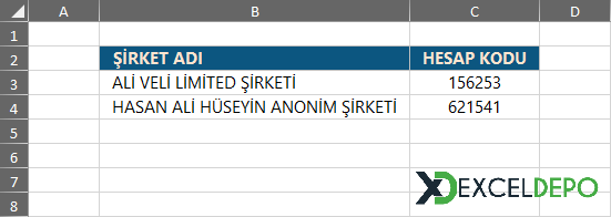 Şirket Bilgileri Şirket Bilgileri