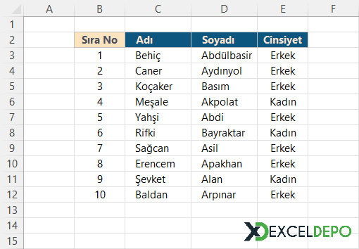 Formüller ile Dinamik Sıra Numarası Ekleme Formüller ile Dinamik Sıra Numarası Ekleme